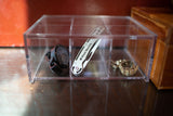 Boxy Boy 6 Compartment Box